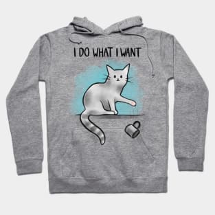 I Do What I Want Hoodie